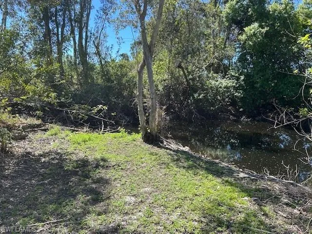 View of yard featuring a forest view