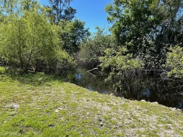 View of nature with a water view and a view of trees