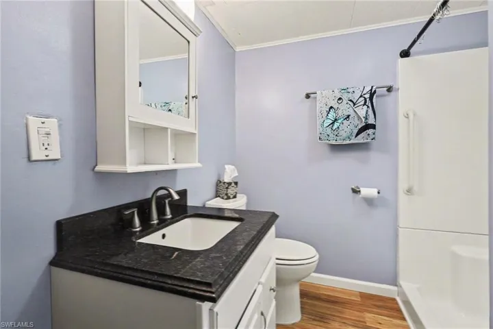 Bathroom featuring vanity, light wood-type flooring, crown molding, and a shower