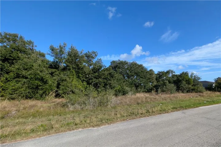 117 Parish Dr, Lehigh Acres, Florida 33974