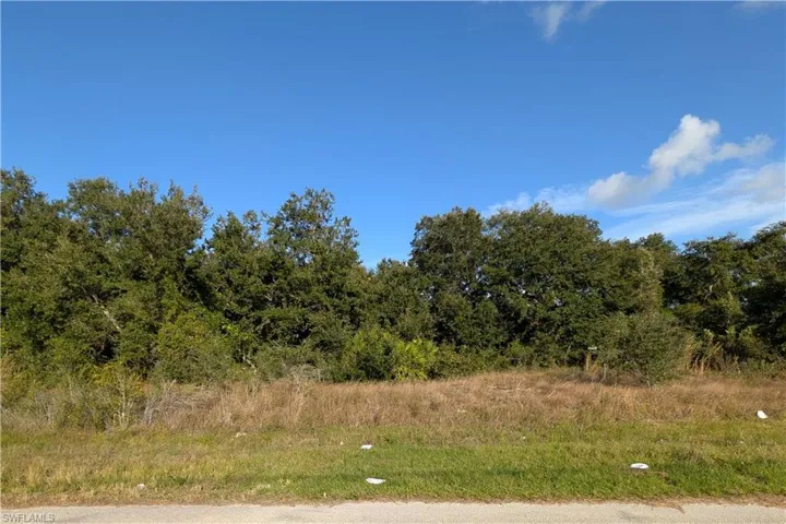 117 Parish Dr, Lehigh Acres, Florida 33974