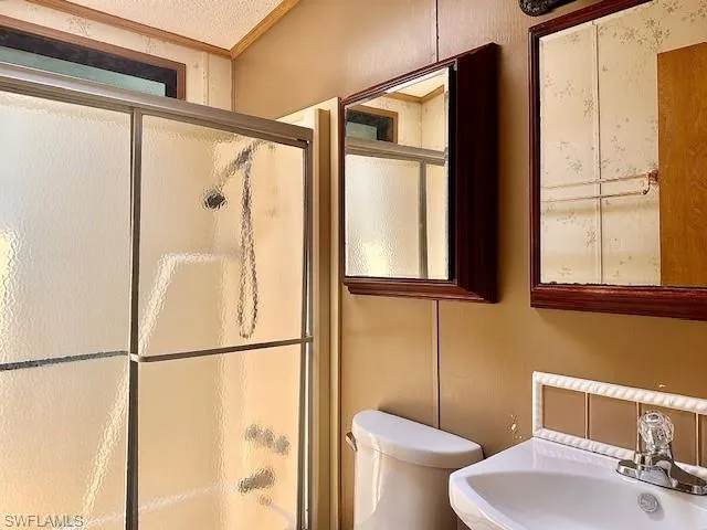 Bathroom with sink, a textured ceiling, crown molding, and toilet