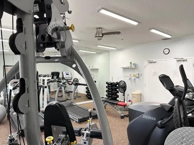 Exercise room with ceiling fan and carpet flooring