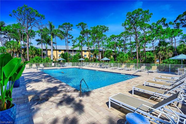 Large pool, pool deck & lounge chairs