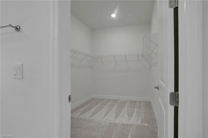 Walk in closet with light colored carpet