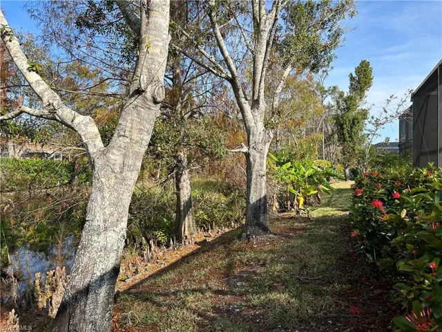 Private back yard and preserve