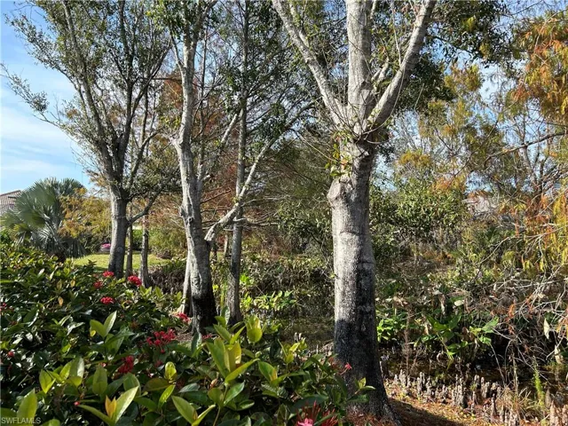 Private back yard and preserve