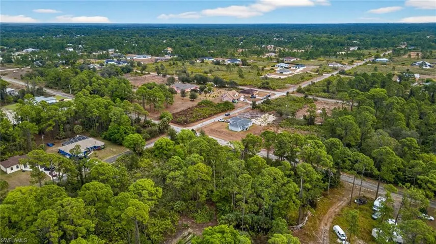 Drone / aerial view of a forest