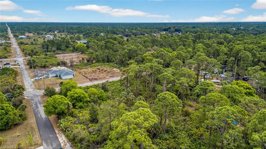Drone / aerial view of a heavily wooded area