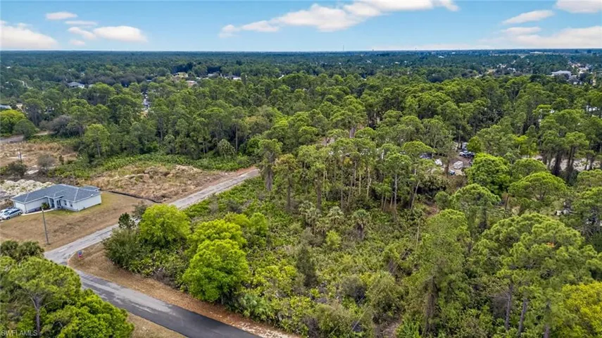 Bird's eye view of a forest