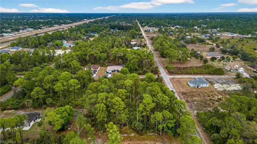 Drone / aerial view of a forest