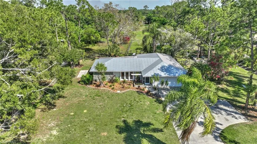 The Property
