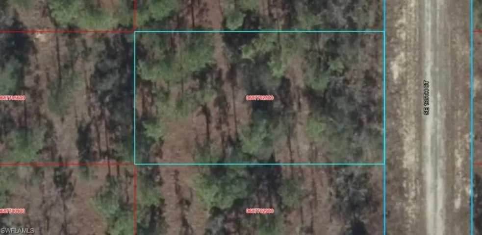 Aerial Property Map. Displaying the boundaries and identification numbers of the property and surrounding parcels