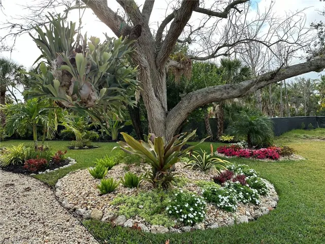 LUSH OUTDOOR LANDSCAPING