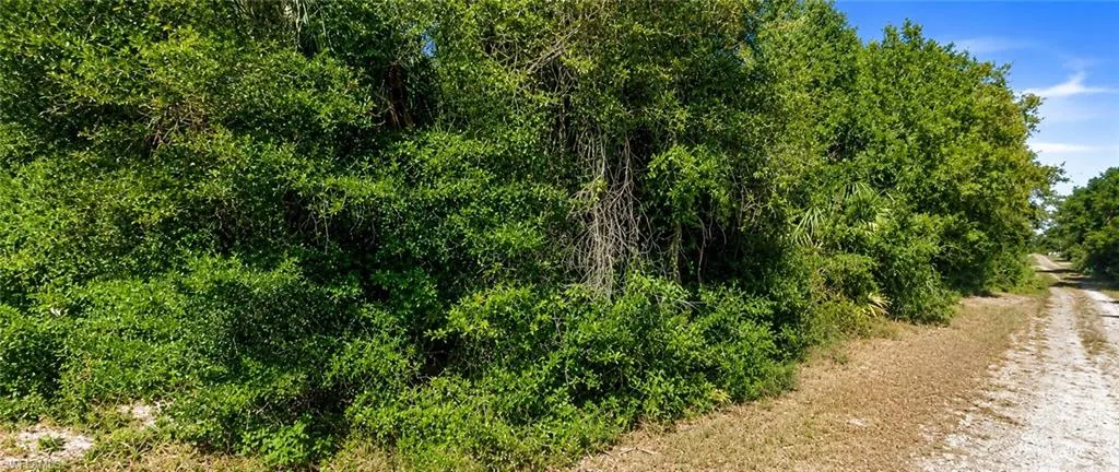 5900 Vera Ave N, Lehigh Acres, Florida 33971