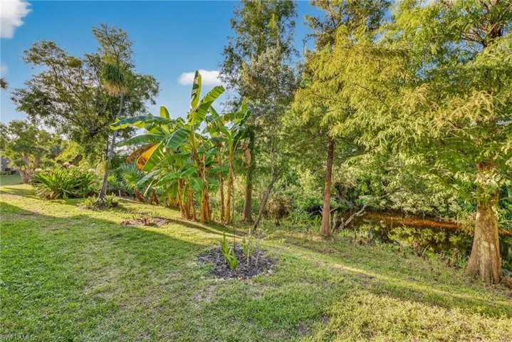 View of green lawn