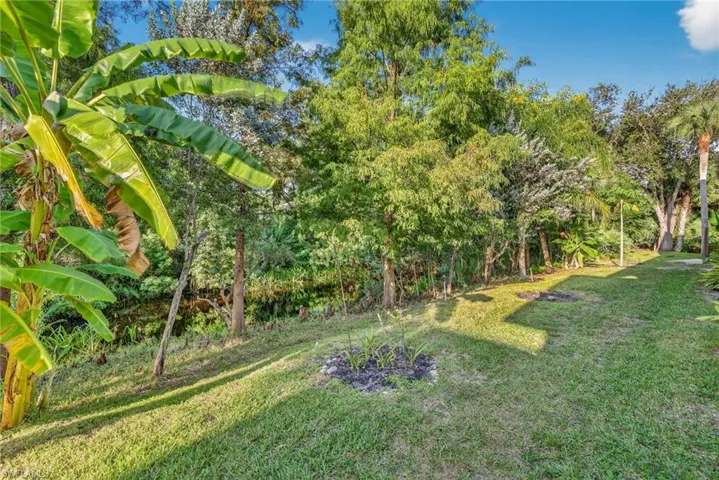 View of green lawn with view of scattered trees