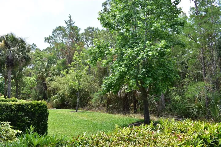 View of green lawn