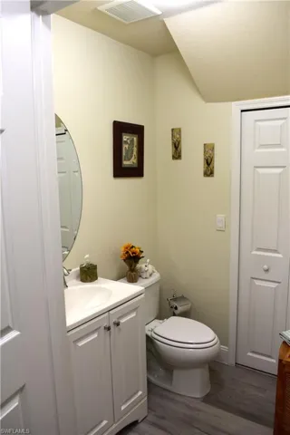 Bathroom with vanity, dark wood-type flooring, and lofted ceiling