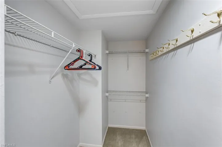 Spacious closet with light carpet