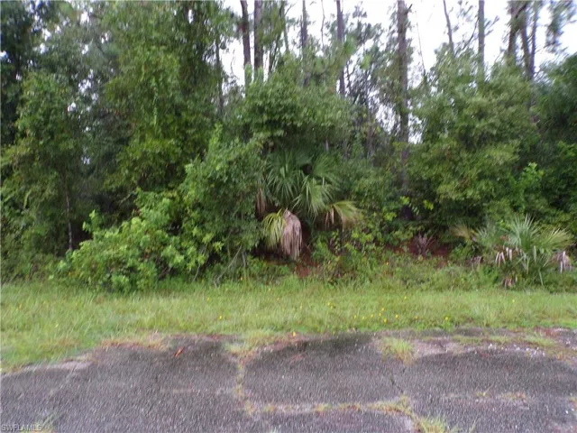 Nocturn St, North Port, Florida 34288