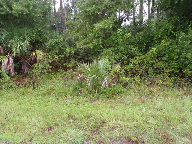 Nocturn St, North Port, Florida 34288