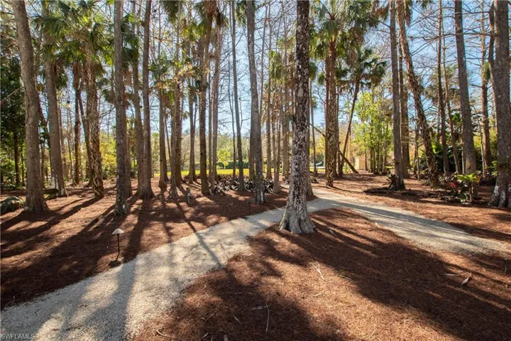 Shell Walkway through Cypress Trees to Backyard
