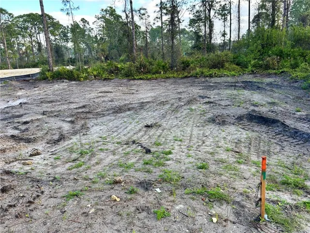 1136 Ecstasy St E, Lehigh Acres Fl 33974