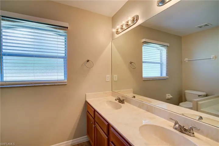 Bathroom with double vanity, healthy amount of natural light, and a bathtub