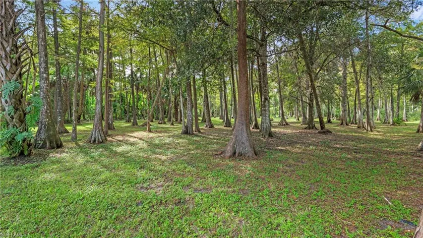 View of green lawn