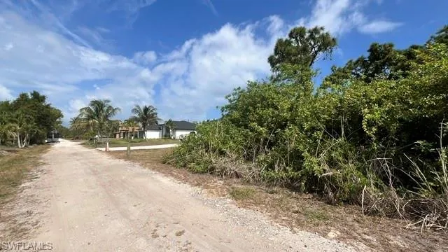 Unimproved parcel featuring extensive natural foliage and a partial perimeter of mature trees