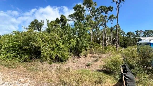 Expansive lot featuring mature pine trees and natural vegetation