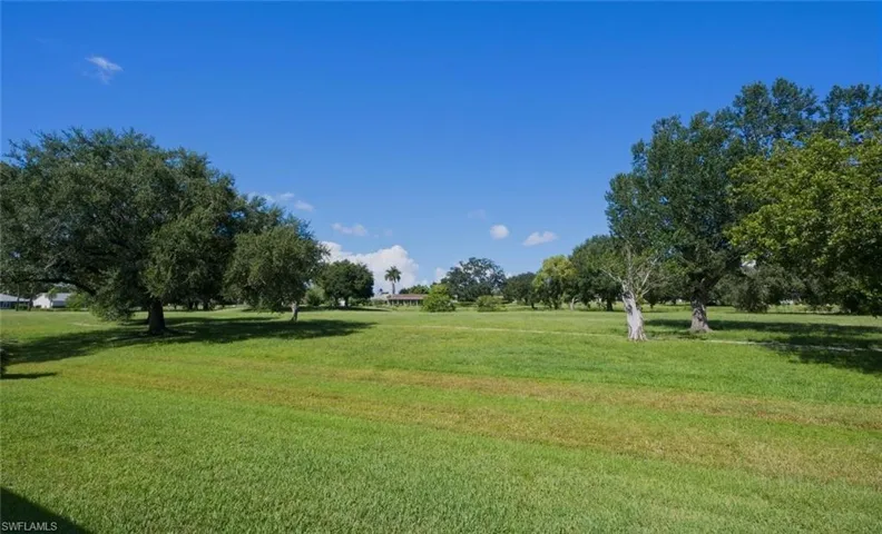 View from back of the home