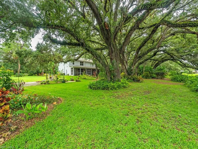 View of green lawn