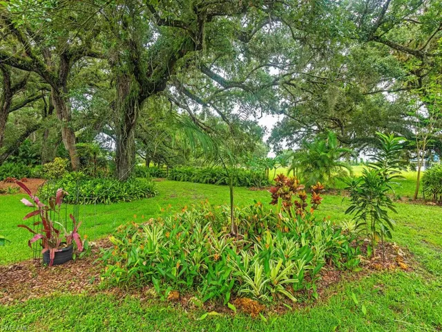 View of grassy yard