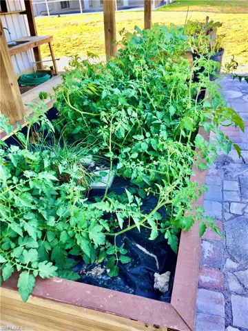 Bring your green thumb & start growing your own farm fresh food