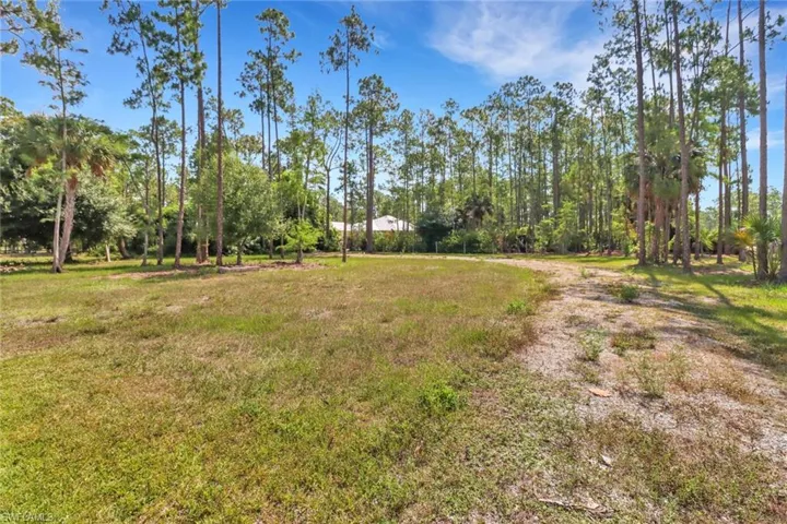 View of backyard
