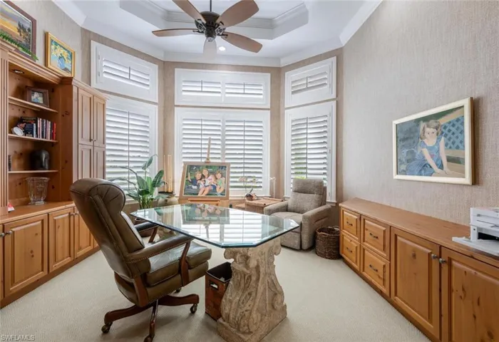 Plantation Shutters and double trey ceiling