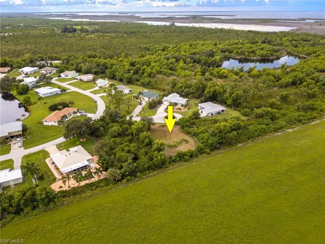 Aerial perspective of suburban area featuring a large body of water and a forest