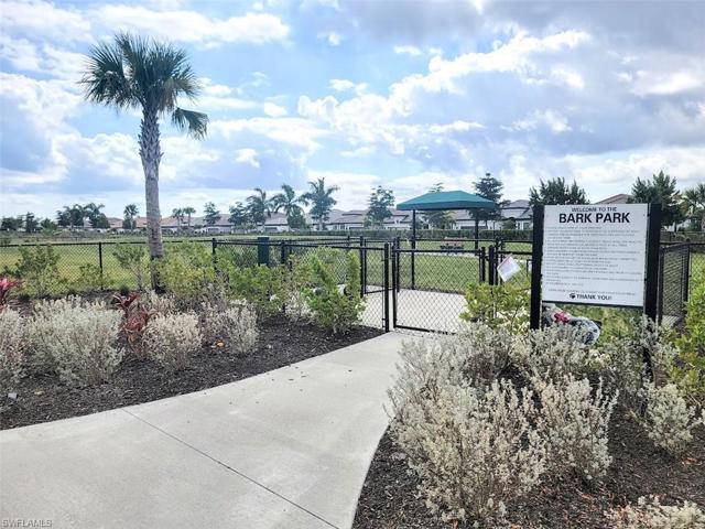 Community Dog Park