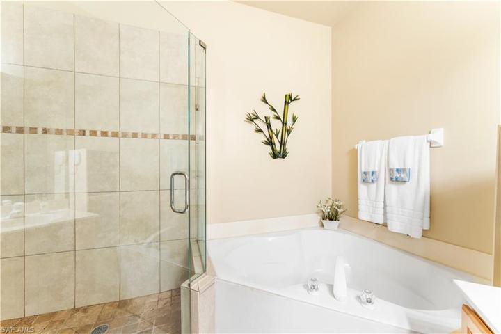 Seamless shower door into your walk in shower. Soaking zen tub.
