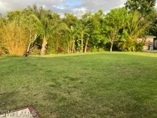 View of grassy yard