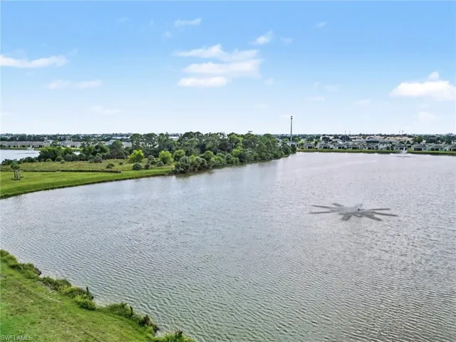 View from above home showing Eagle Preserve, Lake and fountain.