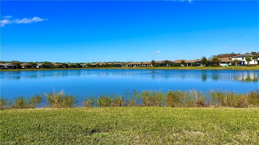 Lake view