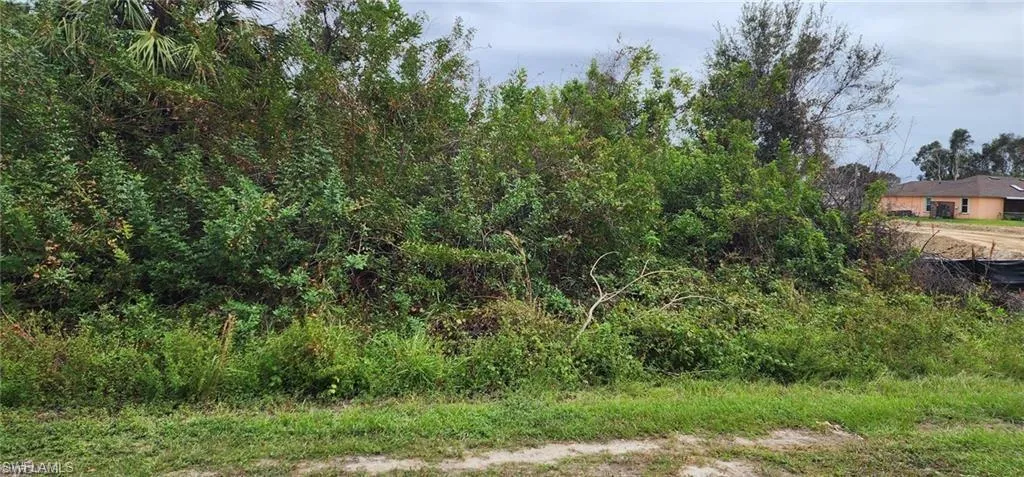 305 Rand Ave, Lehigh Acres, Florida 33974