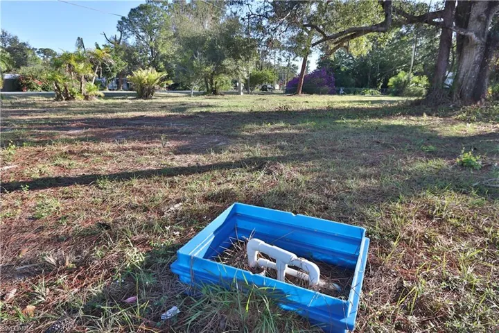 Well pump & View of yard