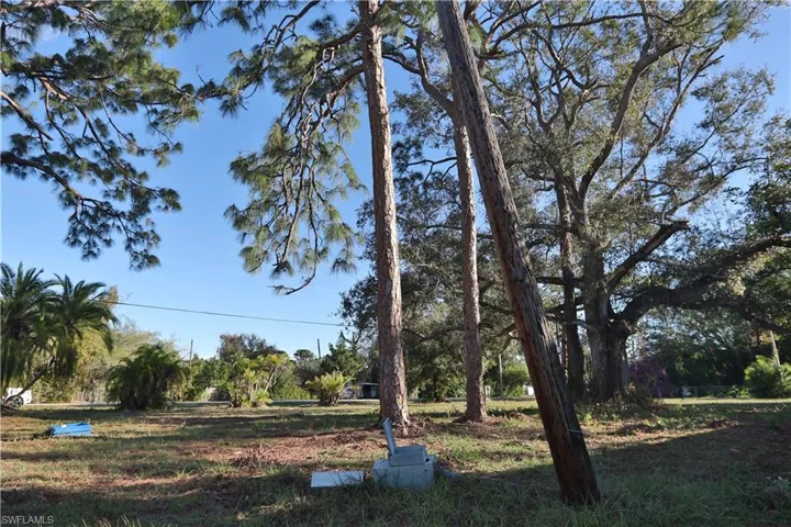 Power pole & Electric meter