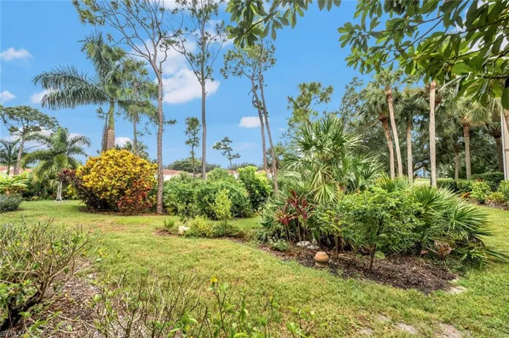 View of Preserve area from lanai