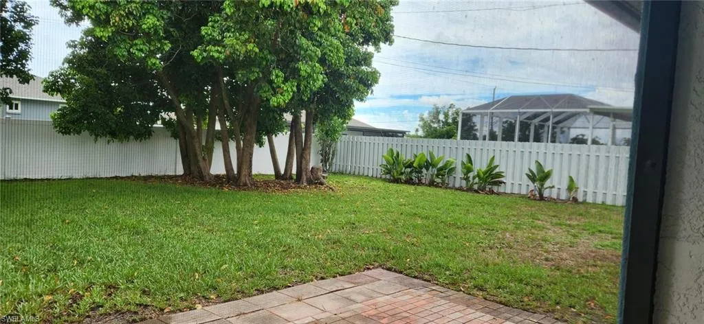 View of backyard