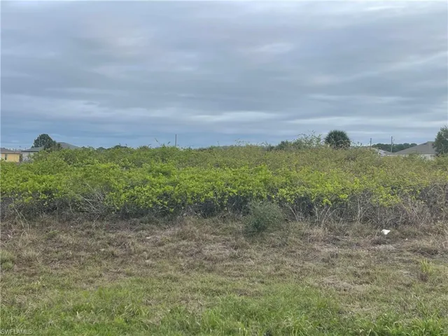 View of undeveloped land